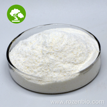 Top Quality Probiotics Lactobacillus Rhamnosus Powder